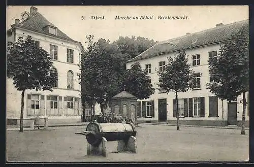 AK Diest, Marché au Bétail