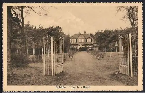 AK Schilde, Top in `t Bosch