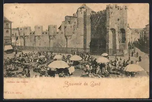 AK Gand, Château des Comtes