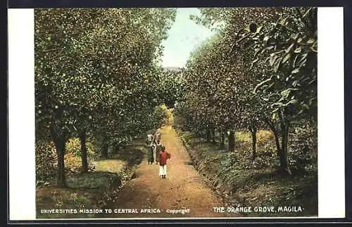 Künstler-AK Magila, the Orange Grove