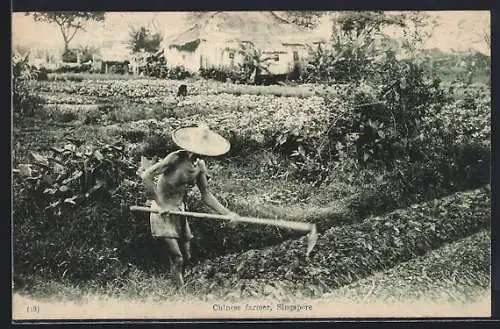 AK Singapore, Chinese farmer