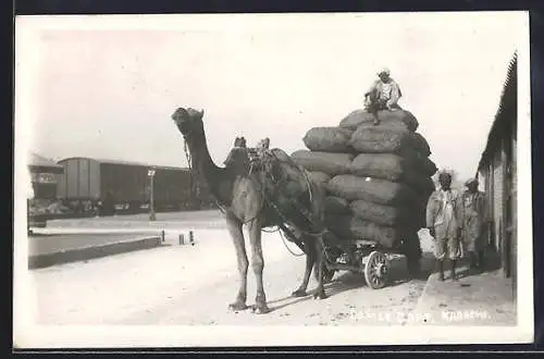 AK Karachi, Camel Cart with Heavy Load