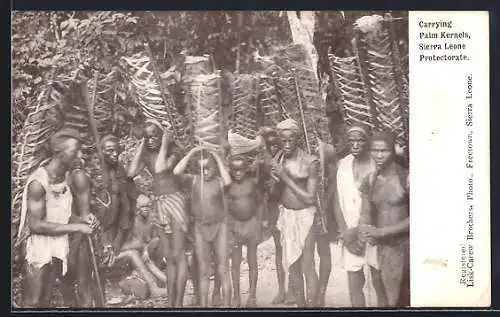 AK Sierra Leone, Carrying Palm kernels