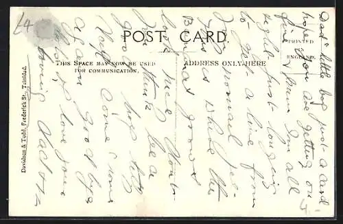 AK Trinidad, Banana Plantation