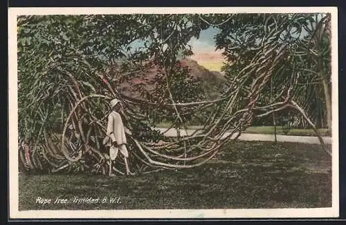 AK Trinidad, Rope Tree