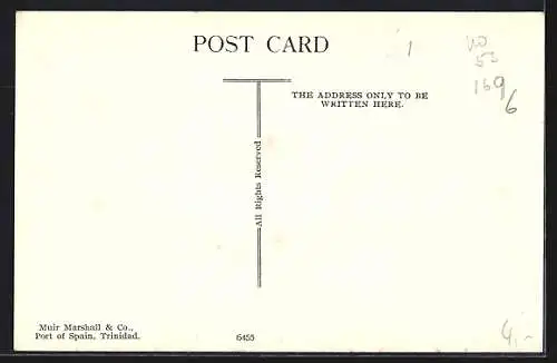 AK Trinidad, Rope Tree