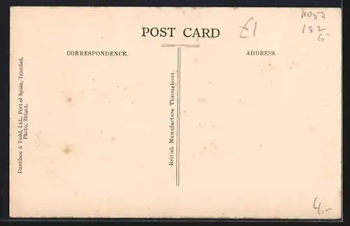 AK Trinidad, Banyan Tree