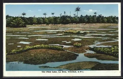 AK La Brea, The Pitch Lake