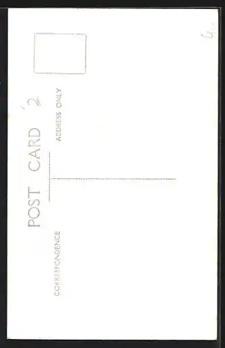 AK Trinidad, Banana plant