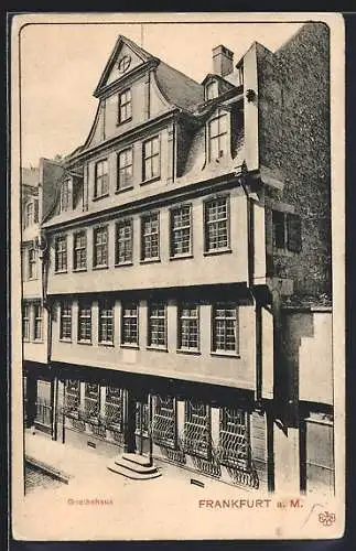 AK Alt-Frankfurt, Blick auf das Goethehaus