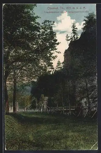 AK Oberhof / Thüringen, Triefsteinfelsen an der Schwarzwälderstrasse