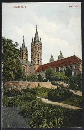 AK Naumburg / Saale, Der Dom mit Teich und Grünanlage
