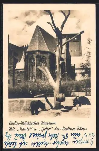 AK Berlin, Märkisches Museum mit Berliner Bären