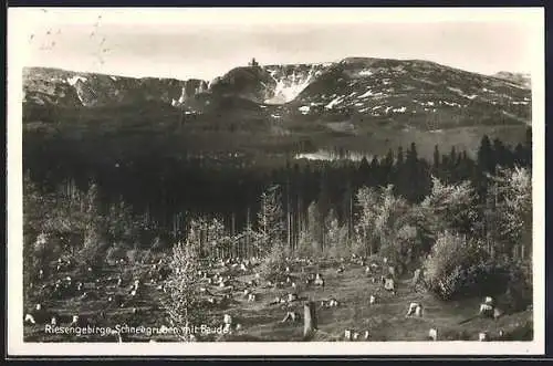 AK Schneegruben mit Berghütte im Riesengebirge