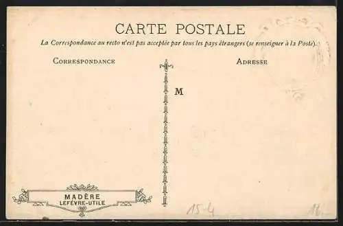 Lithographie Experiences d`Aviation de Robert Esnault Pelterie 1908, Flugzeug