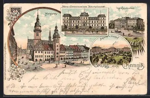 Lithographie Chemnitz, Marktplatz, Stiftung Zimmermann'sche Naturheilanstalt, Kgl. Gymnasium, Schlacht- und Viehhof