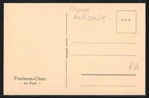 AK Raschwitz, Forsthaus mit flagge