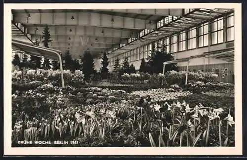 AK Berlin, Grüne Woche 1951, Blumenhalle
