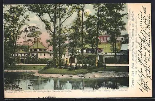 AK Berlin, Wirtschaftshof mit dem Kaskadenteich im Zoologischen Garten