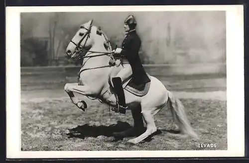 AK Wien, Spanische Reitschule, Levade