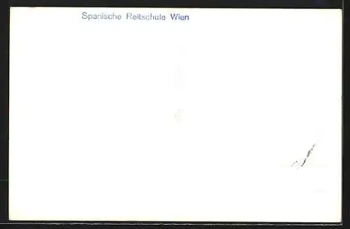 AK Wien, Spanische Reitschule, Levade