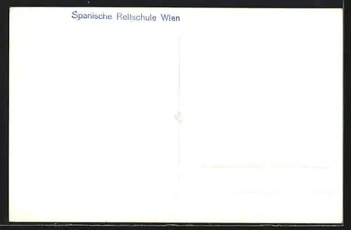 AK Wien, Spanische Reitschule, Levade