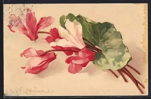 Künstler-AK Catharina Klein: kleiner Strauss rosa Blumen