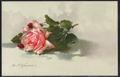 Künstler-AK Catharina Klein: schöne aufgeblühte Rose in rosanem Farbton