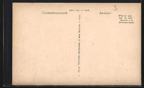 AK La Bollène-Vésubie, Vue générale et la Vallée de la Vésubie prise de la Route de Turini