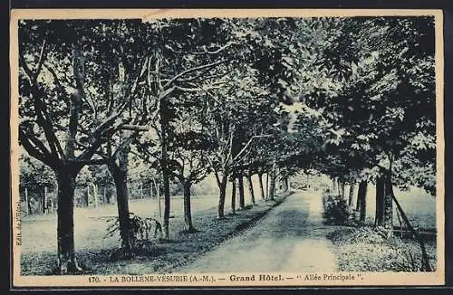 AK La Bollène-Vésubie, Grand Hôtel, Allée Principale et arbres majestueux
