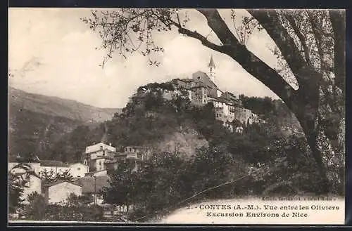 AK Contes, Vue entre les Oliviers et le village sur la colline