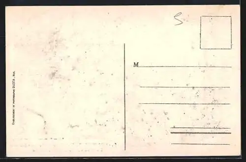 AK Contes, Vue entre les Oliviers et le village sur la colline