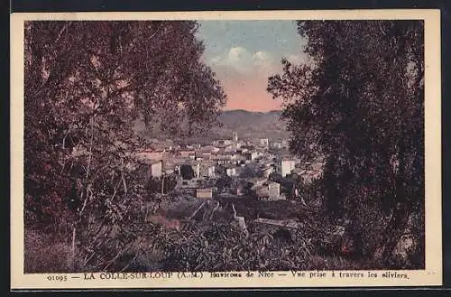 AK La Colle-sur-Loup, Vue prise à travers les oliviers