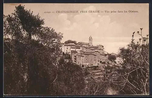 AK Châteauneuf, Vue prise dans les Oliviers