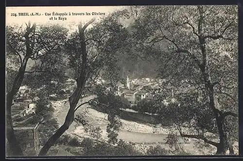 AK Breil, Une échappée à travers les Oliviers et la Roya