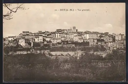 AK Biot, Vue générale