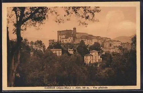 AK Carros, Vue générale