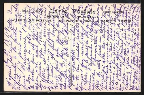 AK Le Cannet, Vue générale des Alpes-Maritimes