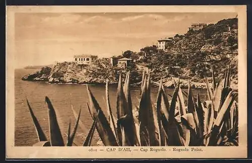 AK Cap d`Ail, Vue du Cap Rognolo et des maisons sur la côte rocheuse