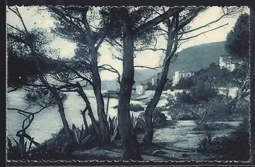 AK Cap d`Ail, Vue sur la côte et les pins en bord de mer
