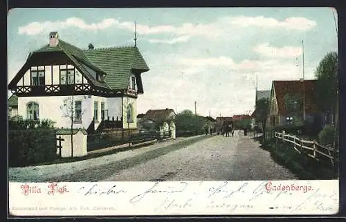 AK Cadenberge, Villa Fick mit Strassenpartie