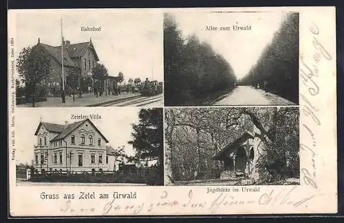AK Zetel am Urwald, Bahnhof, Jagdhütte, Allee und Zeteler Villa