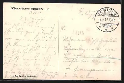 AK Hasselfelde, Hotel zur Krone v. F. Heydecke