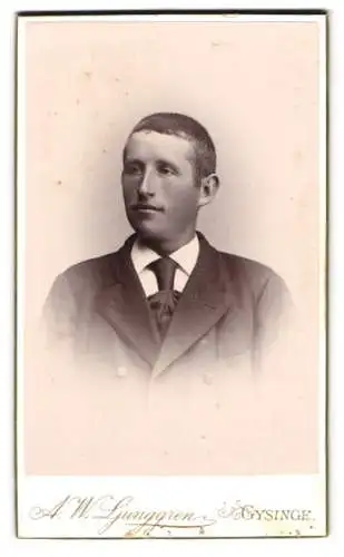 Fotografie A.W. Ljunggren, Gysinge, Porträt eines jungen Mannes