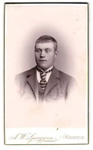 Fotografie A.W. Ljunggren, Gysinge, Porträt eines jungen Mannes