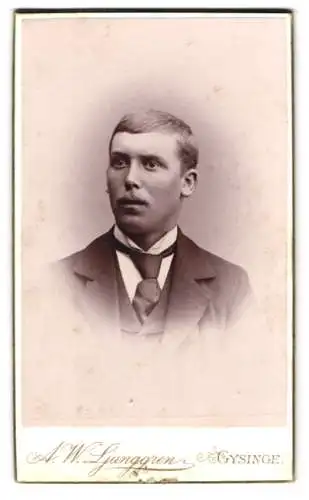 Fotografie A. W. Ljunggren, Gysinge, Porträt eines jungen Mannes