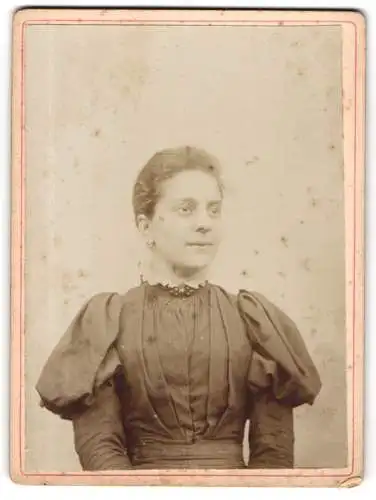 Fotografie Theodor Stephani, Zittau, Augustastr. 12, Porträt einer Dame
