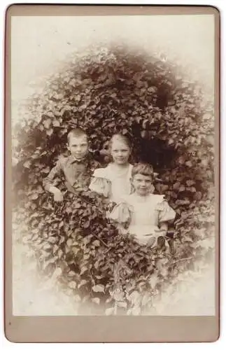 Fotografie unbekannter Fotograf und Ort, drei Kinder im Laubwerk