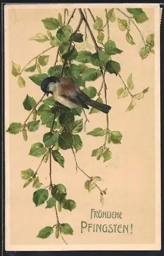 AK Fröhliche Pfingsten!, Vogel auf Birkenzweig