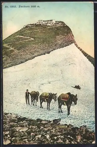 AK Faulhorn, Blick auf den Gipfel